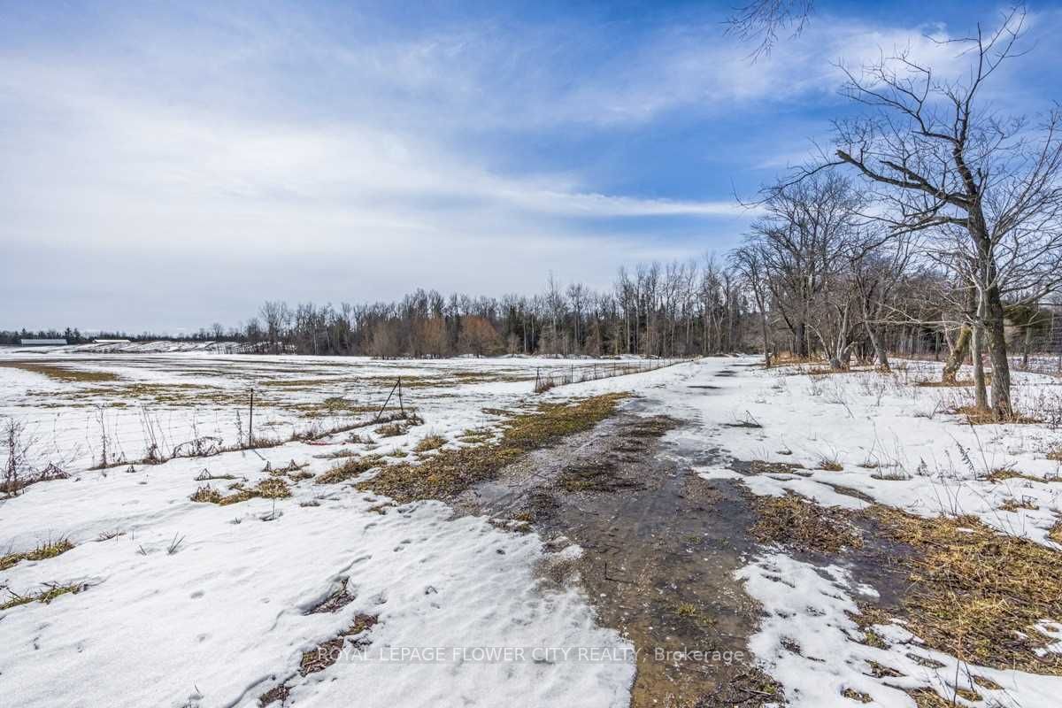Listing X6009413 - Large Photo # 32