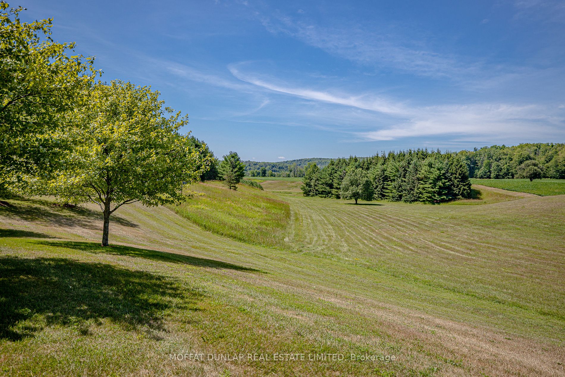 Listing X6010648 - Large Photo # 7