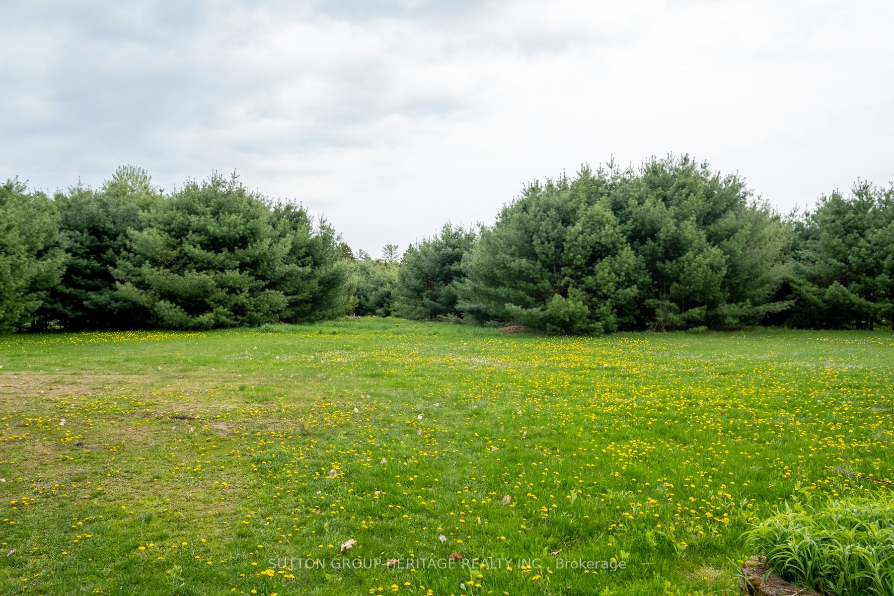 Listing X6010764 - Large Photo # 33