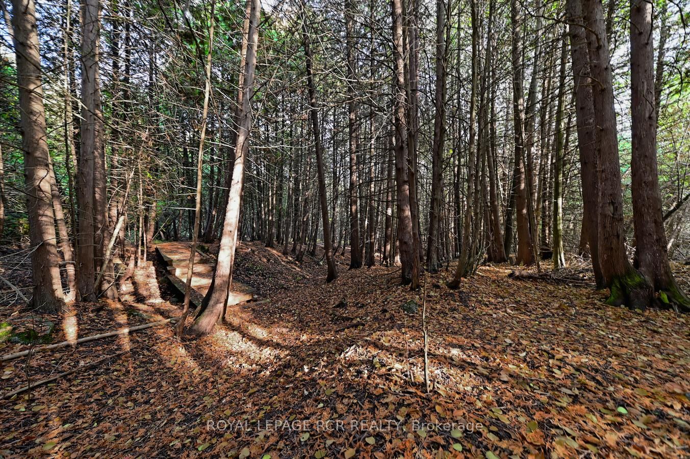 Listing X6010908 - Large Photo # 21