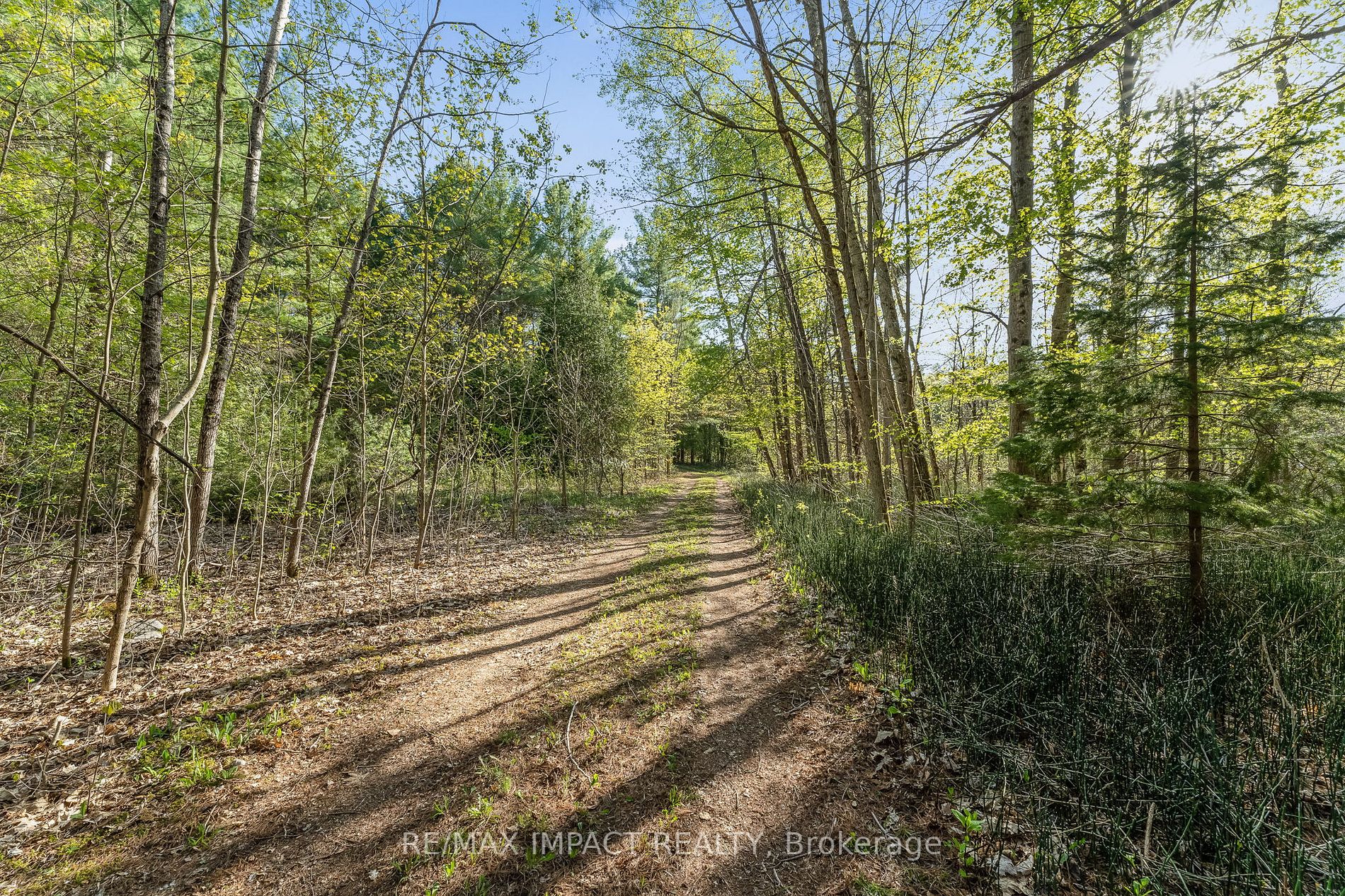Listing X6011768 - Large Photo # 15