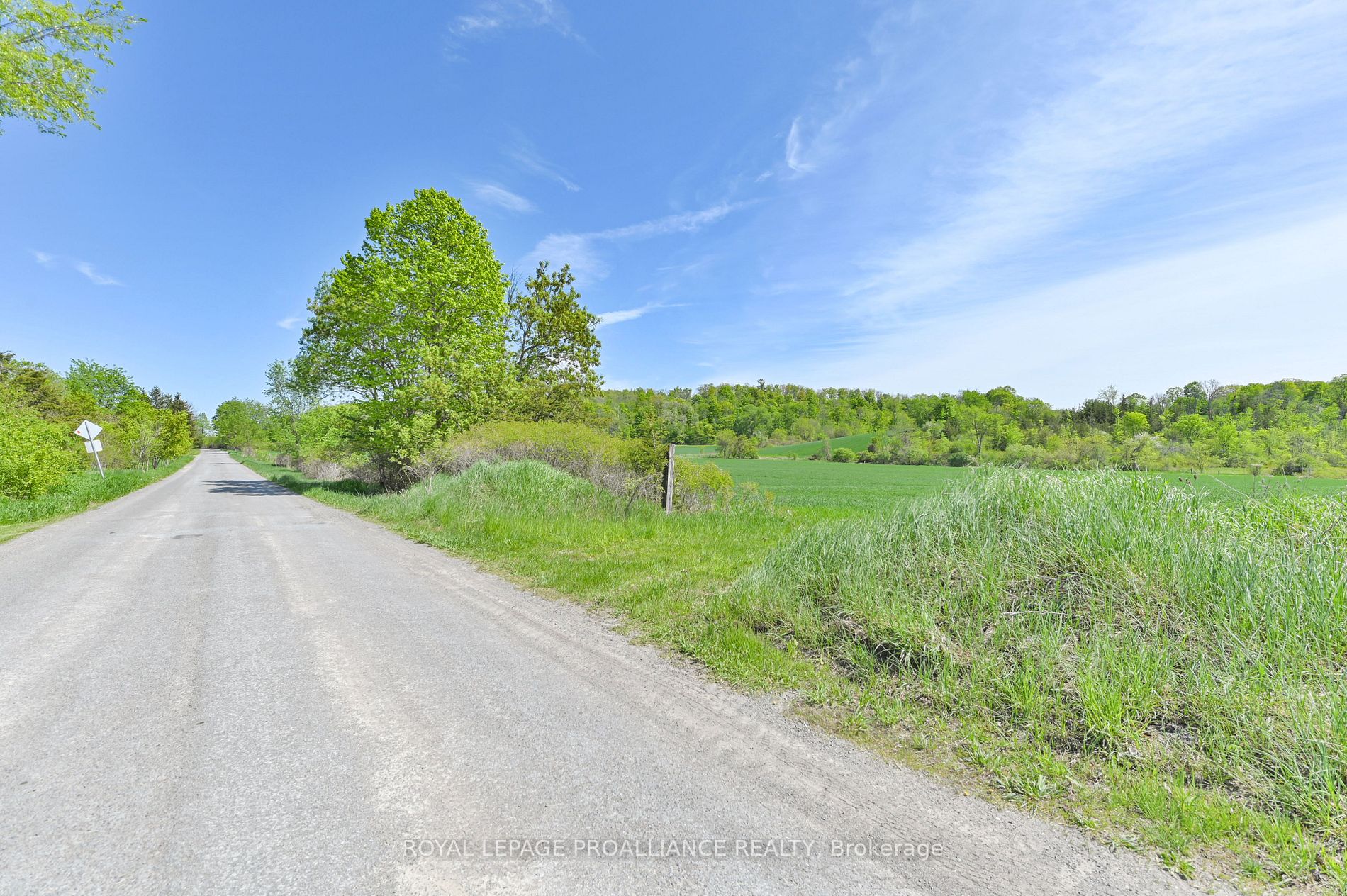 439 Wiley Rd