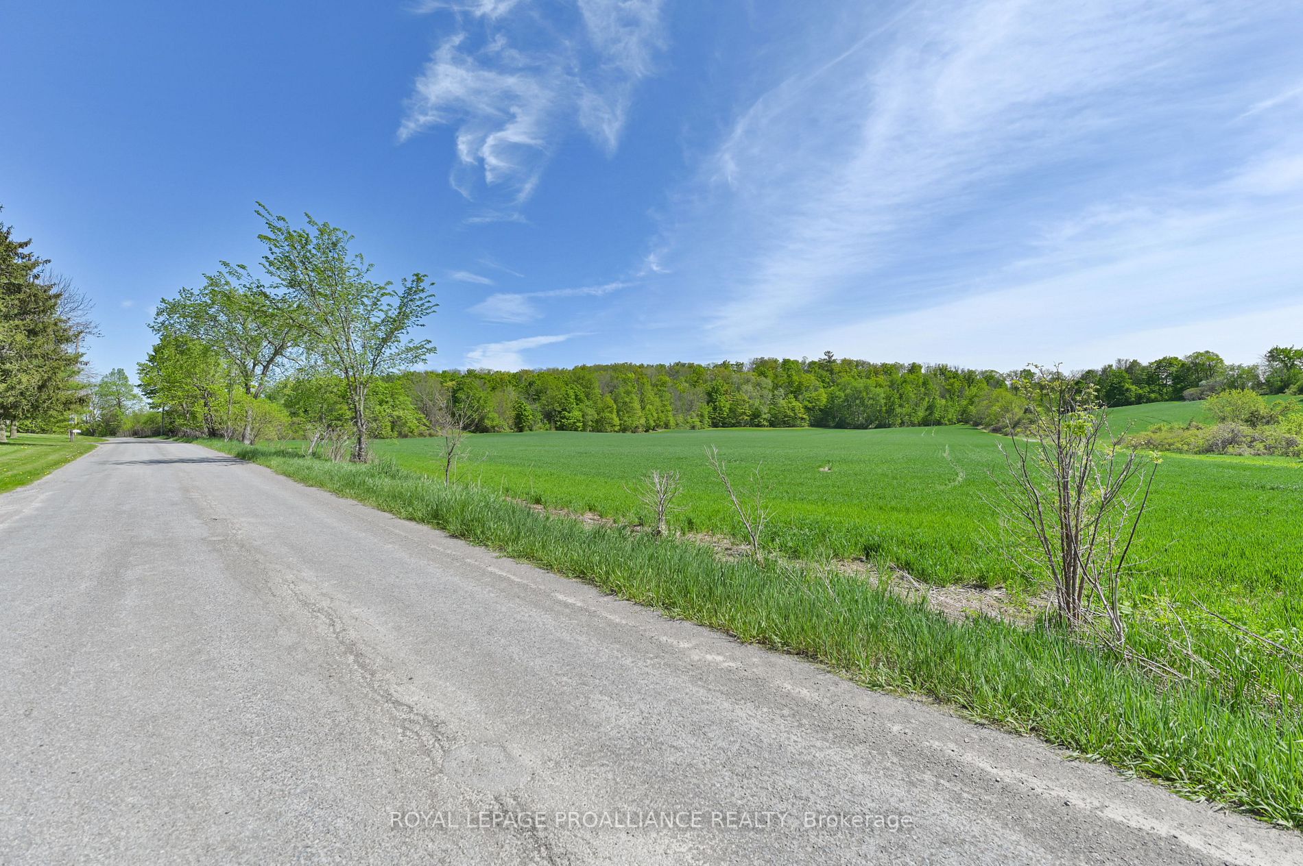 439 Wiley Rd