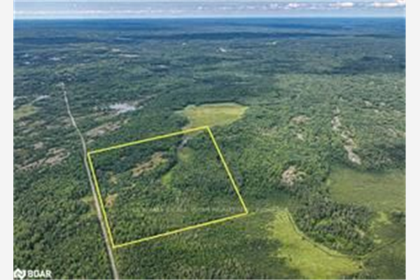 24-25 Concession 10, Kawartha Lakes