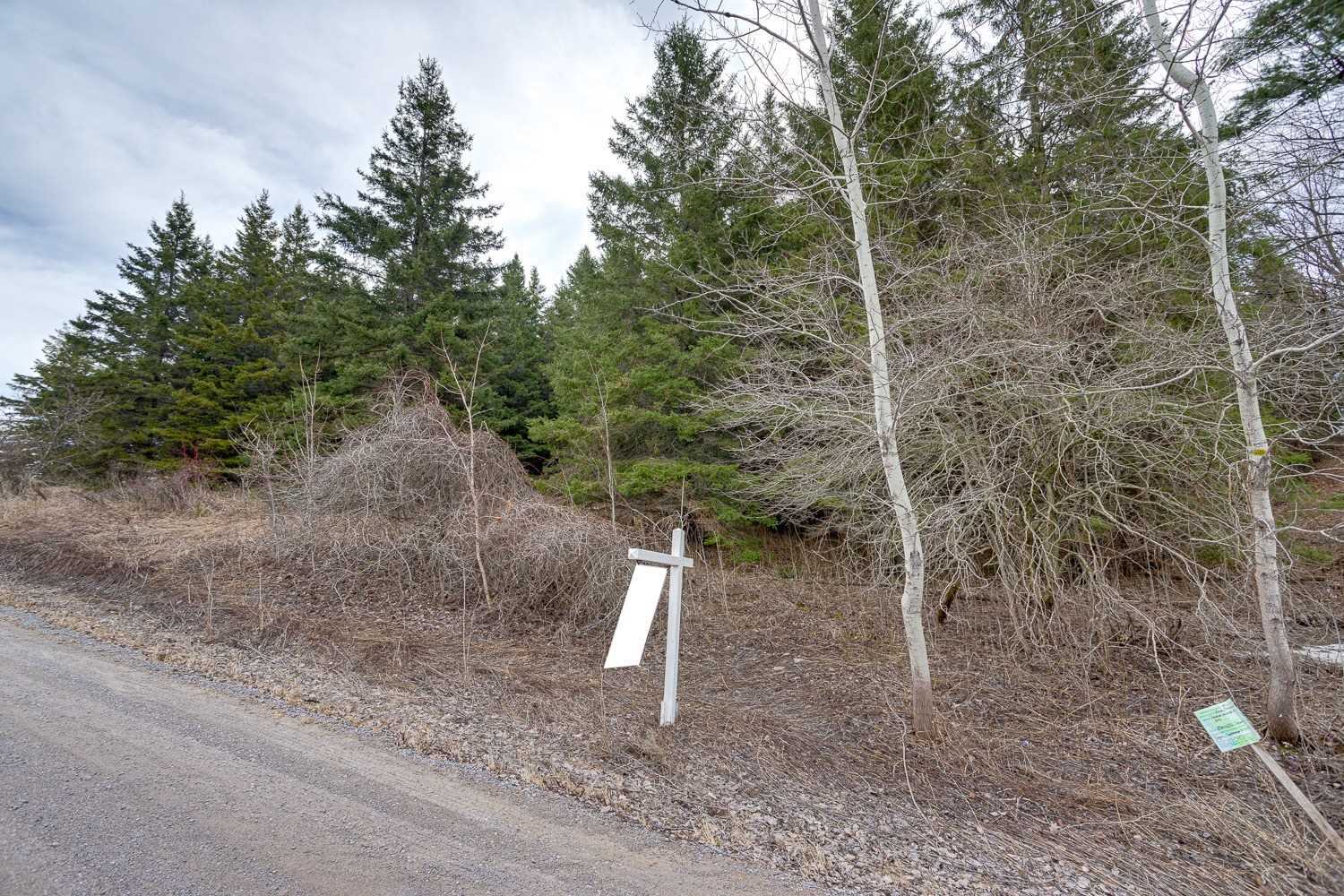 Listing X6015399 - Large Photo # 32