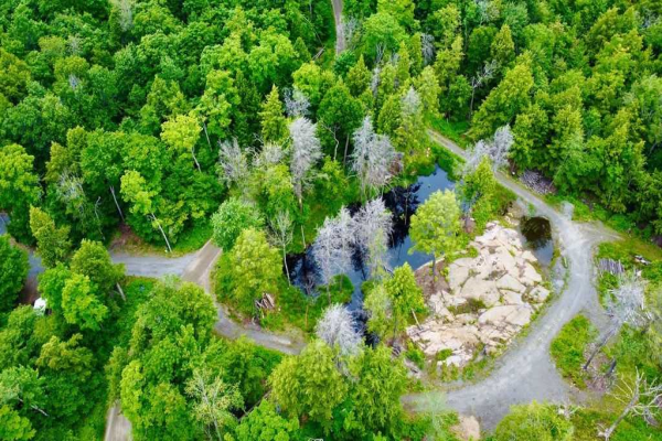 123 Gryffin Bluffs Lane S, Huntsville