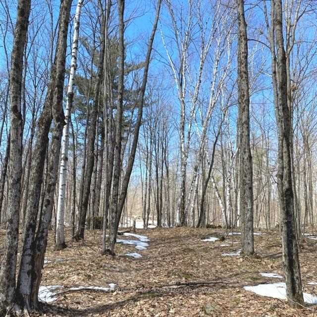 6981 Highway 35