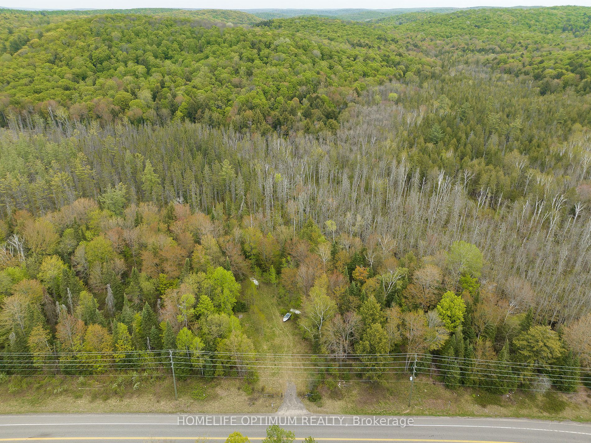 Listing X6023548 - Large Photo # 14