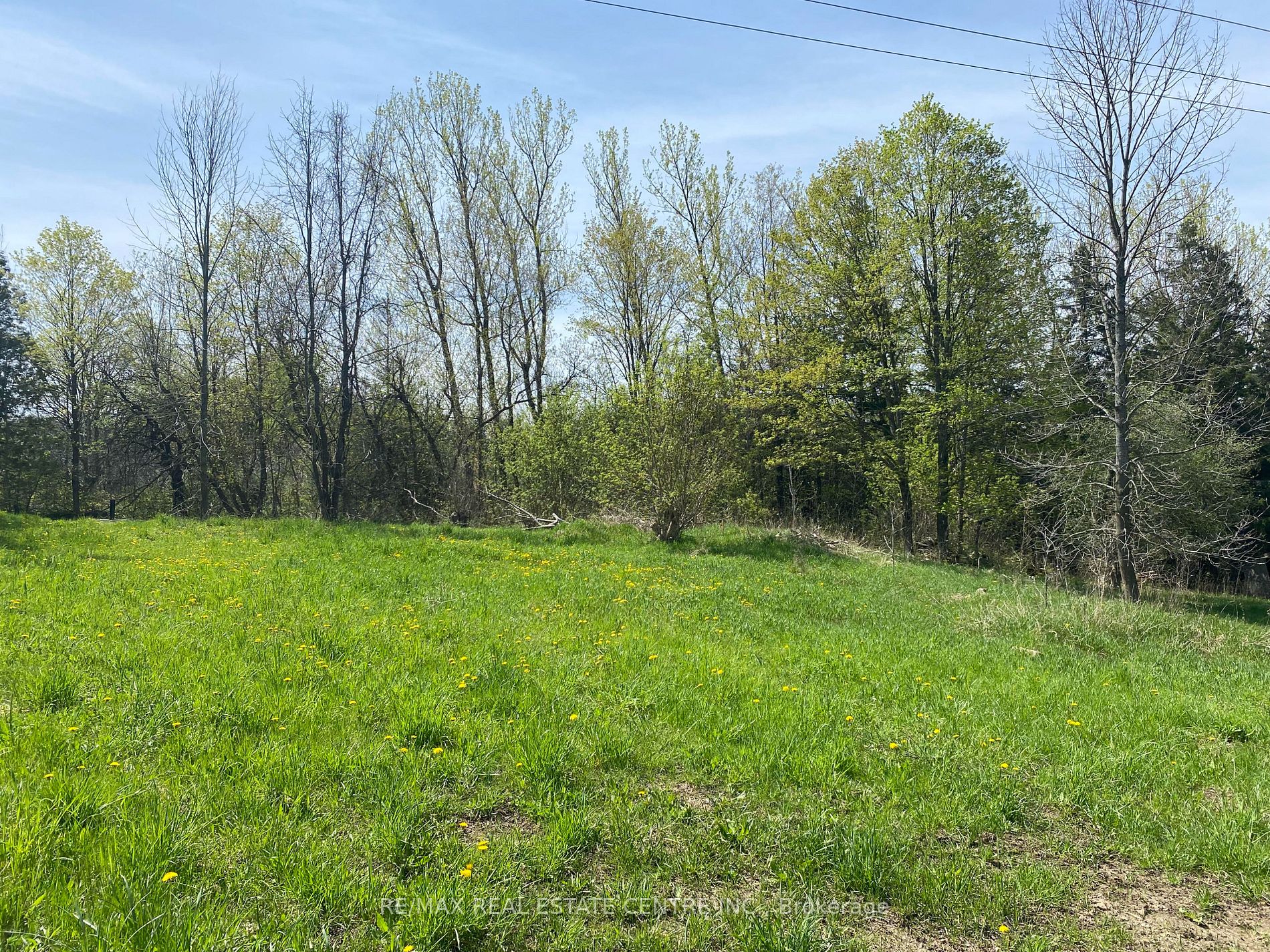 707066 County Rd 21 Rd