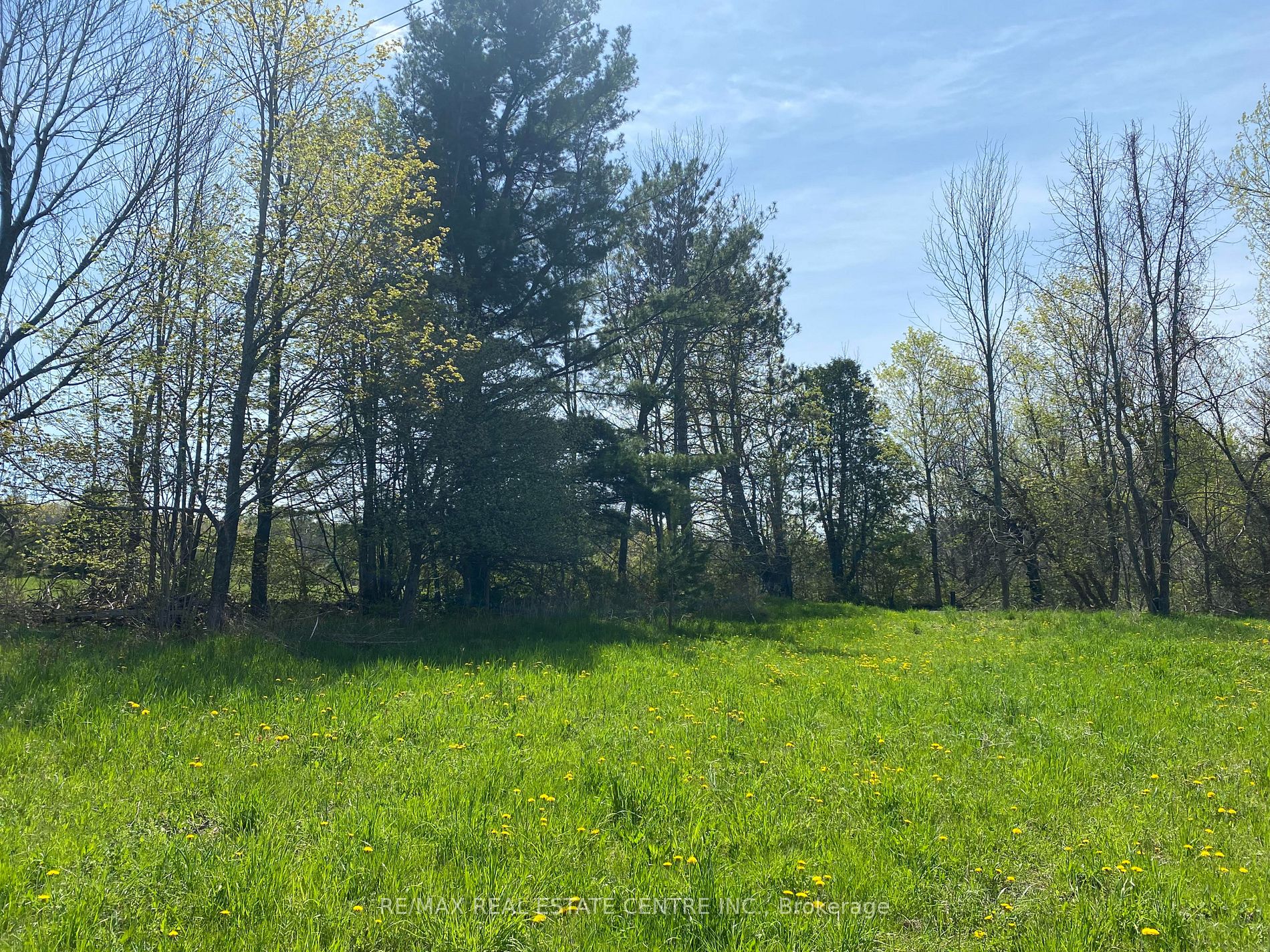 707066 County Rd 21 Rd