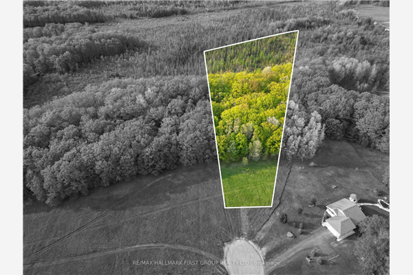 A William St, Havelock-Belmont-Methuen