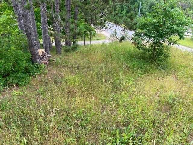 26686 Highway 62 S