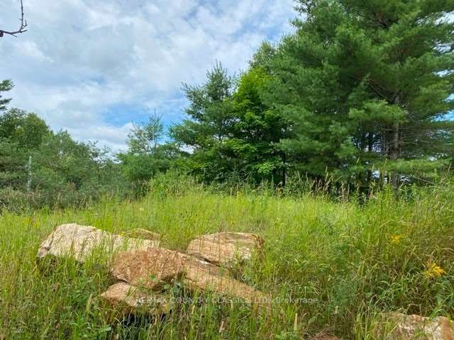 26686 Highway 62 S