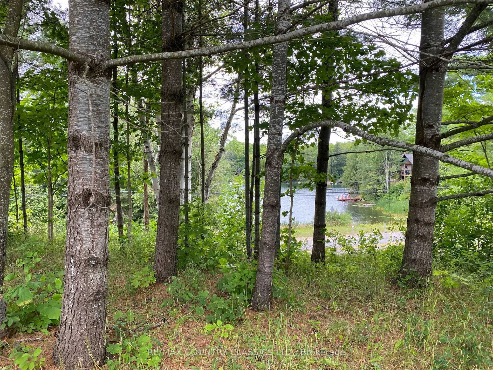 26686 Highway 62 S