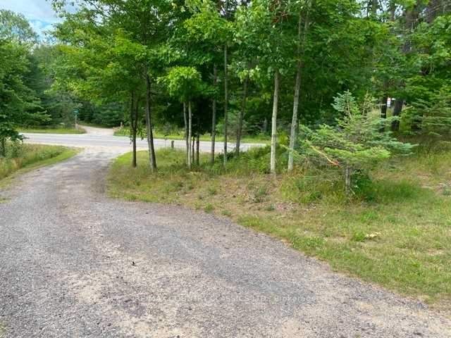 26686 Highway 62 S
