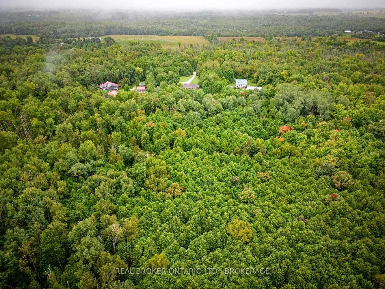 Listing X6034465 - Large Photo # 40
