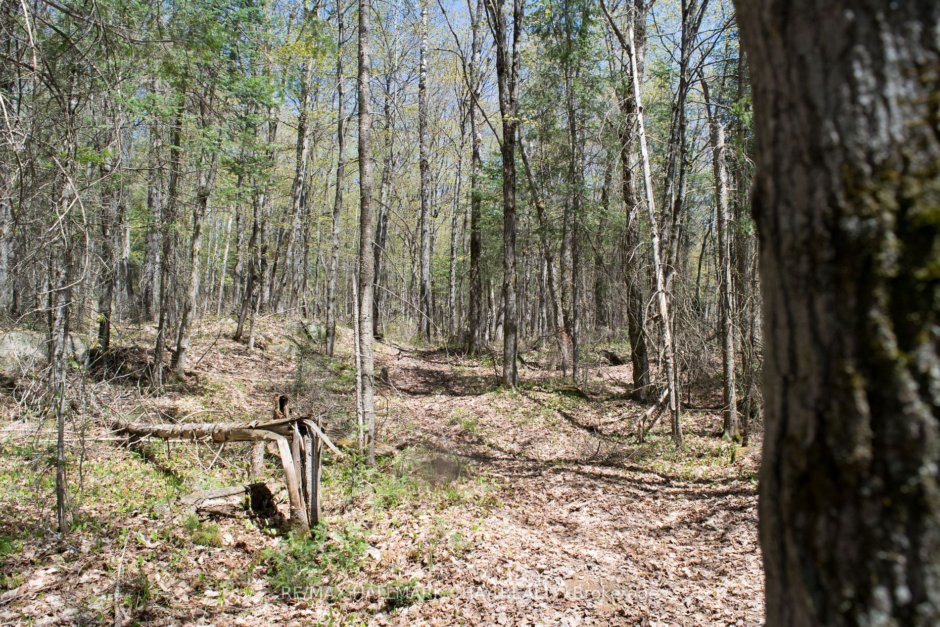 Listing X6037456 - Large Photo # 8