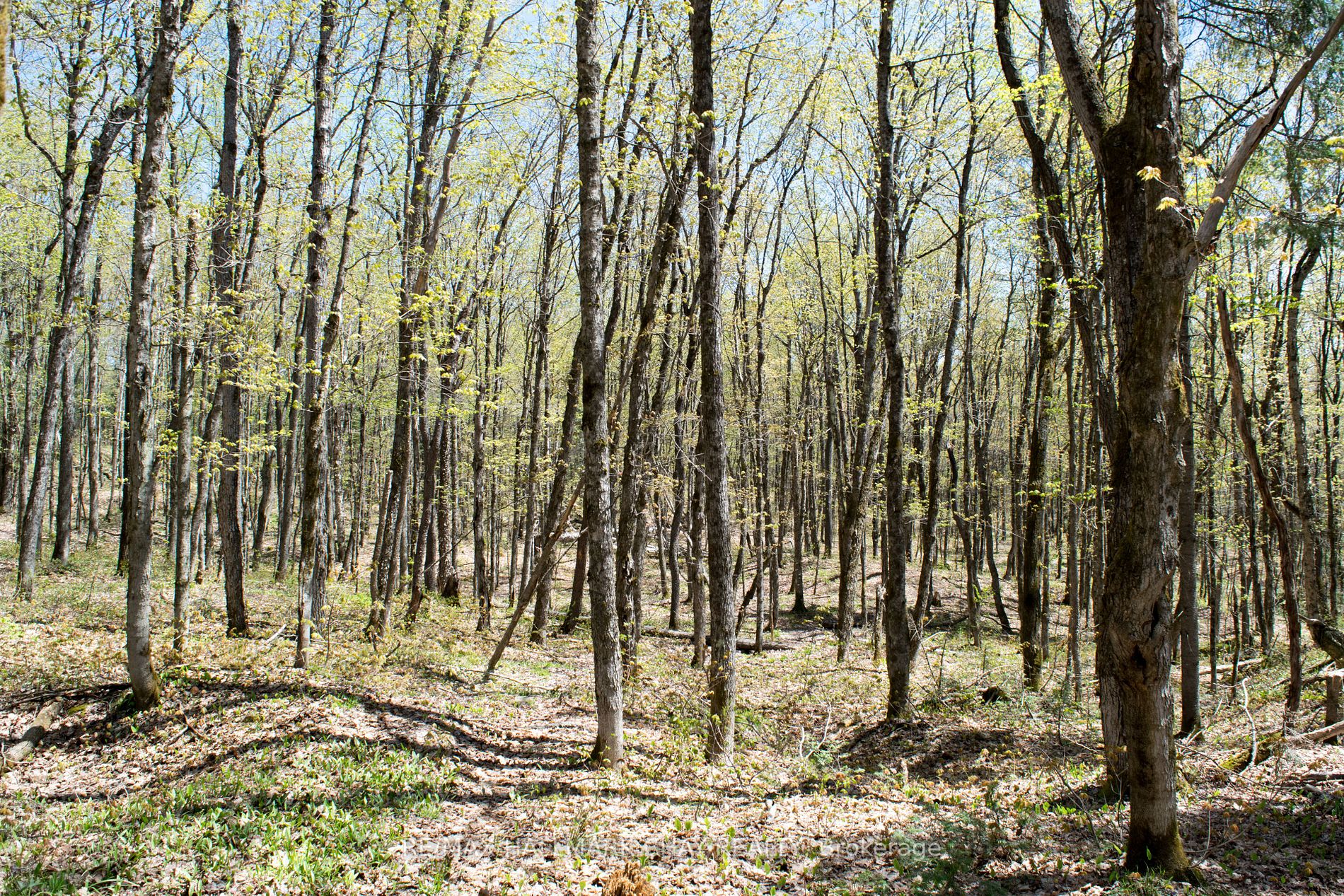 Listing X6037456 - Large Photo # 5