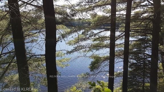 Listing X6038400 - Large Photo # 12