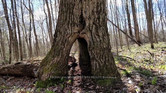 Listing X6038400 - Large Photo # 23