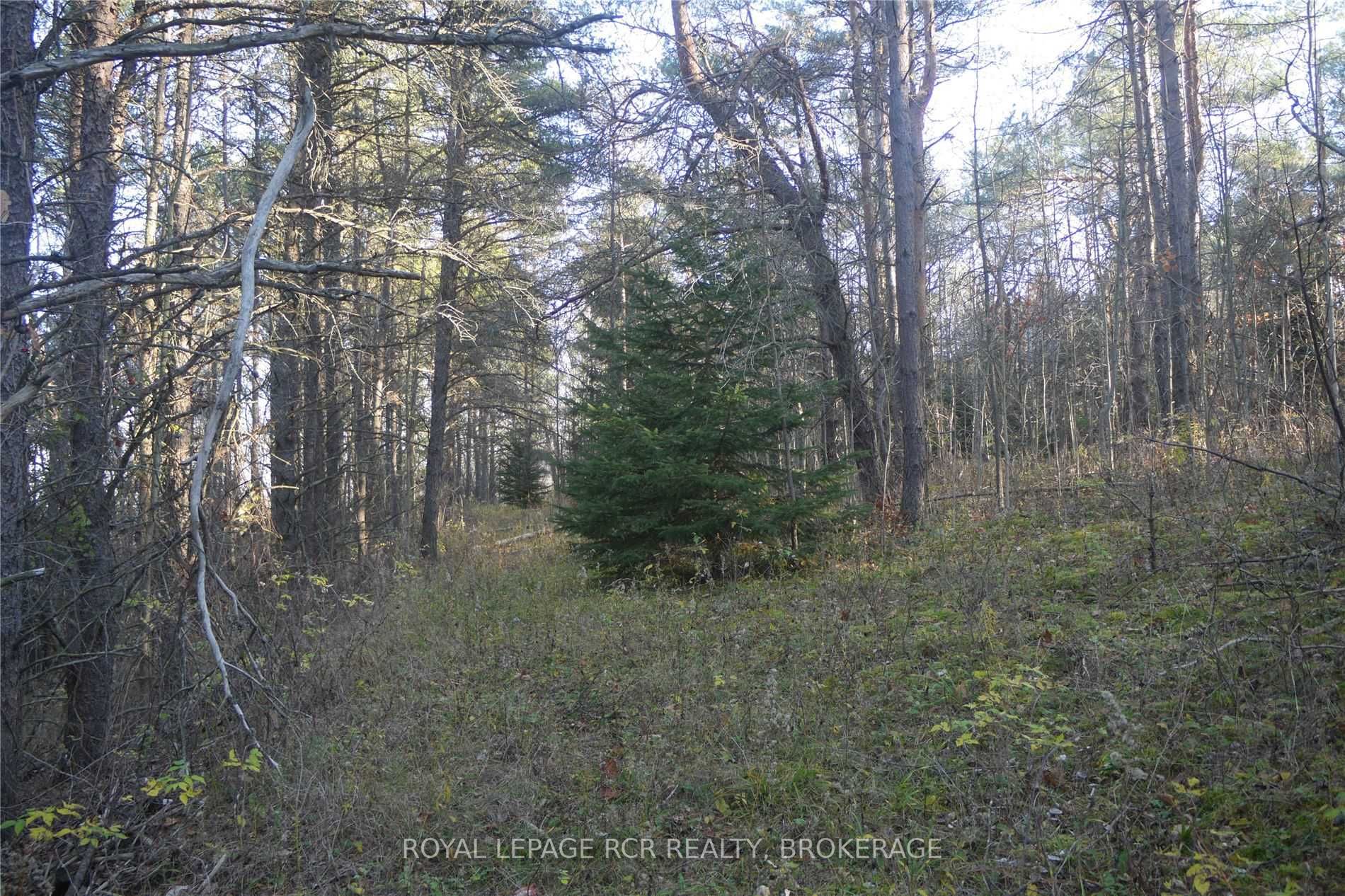 Listing X6039287 - Large Photo # 5