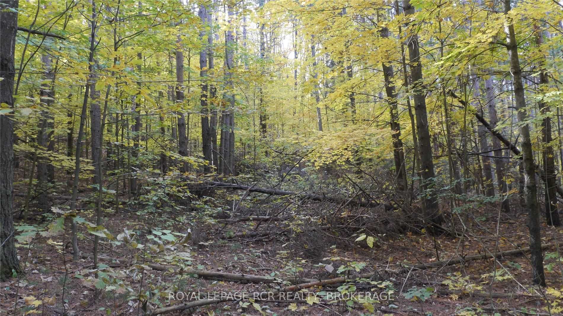 Listing X6039287 - Large Photo # 15