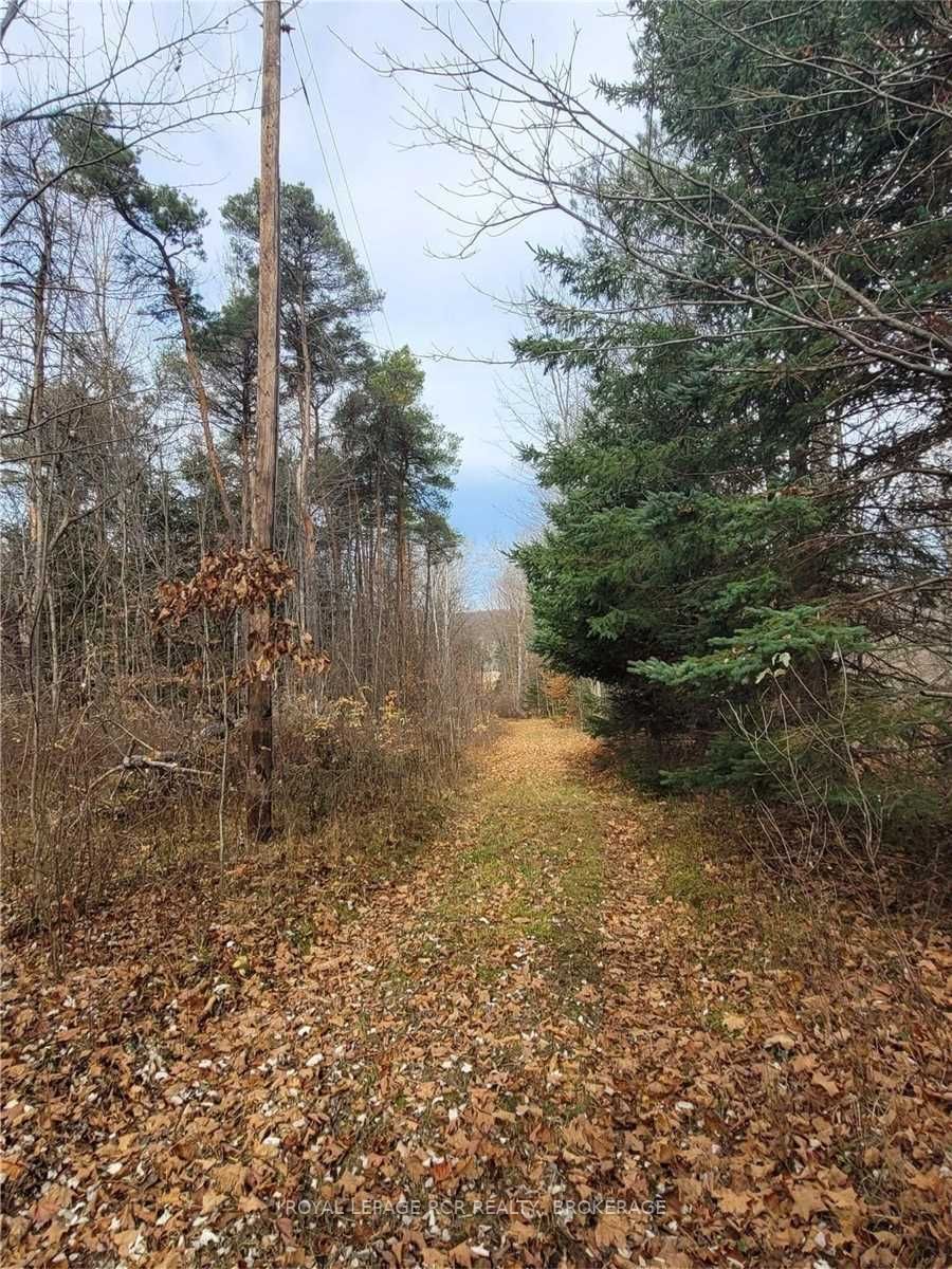 Listing X6039287 - Large Photo # 2