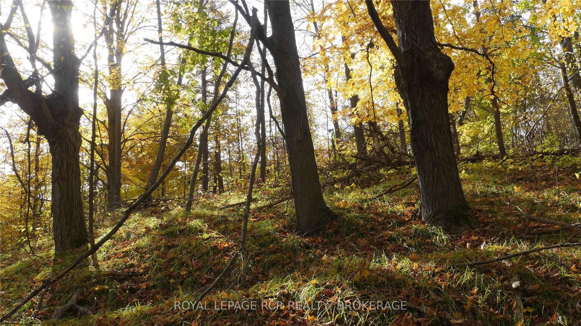 Listing X6039287 - Large Photo # 17