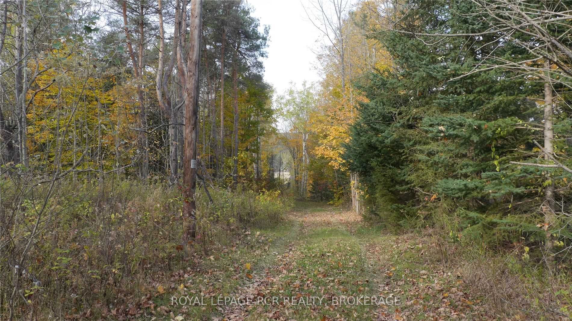 Listing X6039287 - Large Photo # 19