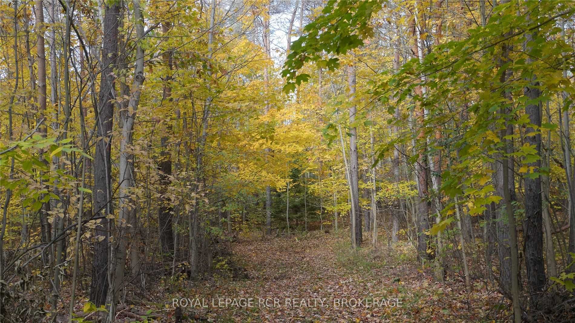 Listing X6039287 - Large Photo # 12