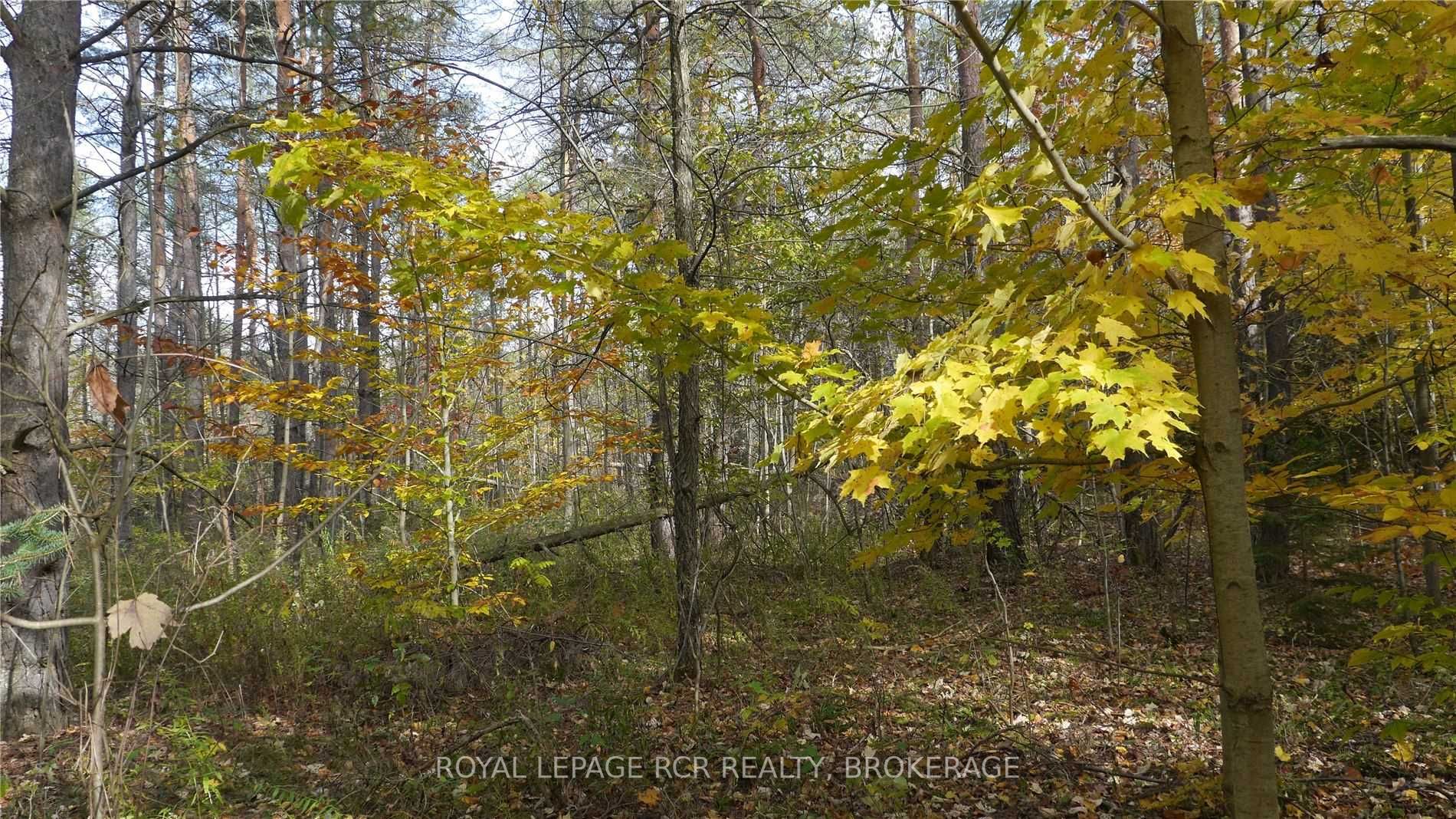 Listing X6039287 - Large Photo # 10