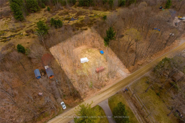 118 Mccrackin Ave, Kawartha Lakes