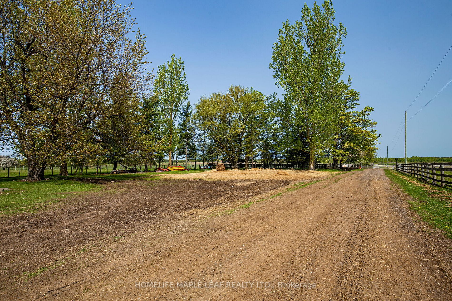 Listing X6040024 - Large Photo # 9