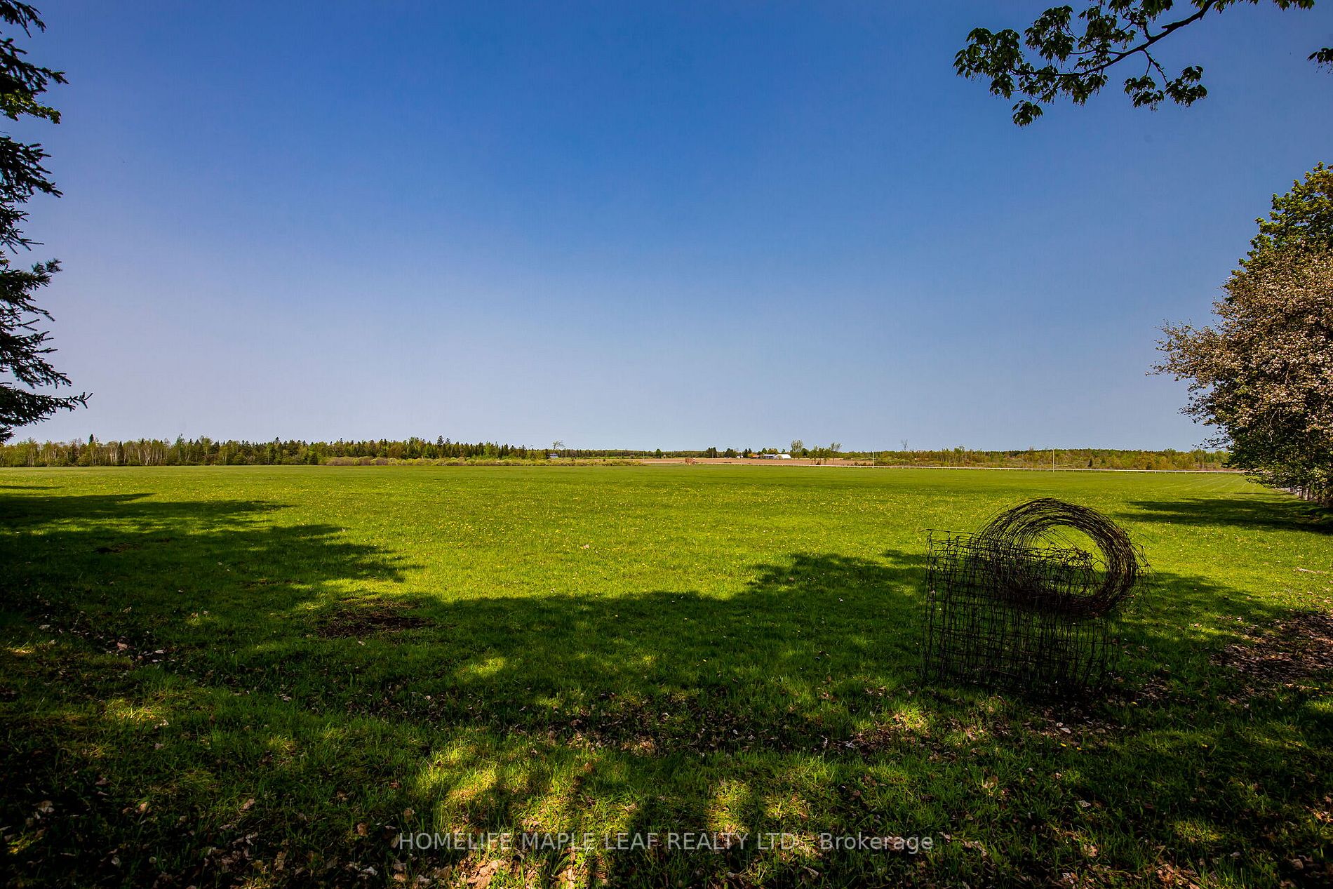Listing X6040024 - Large Photo # 13