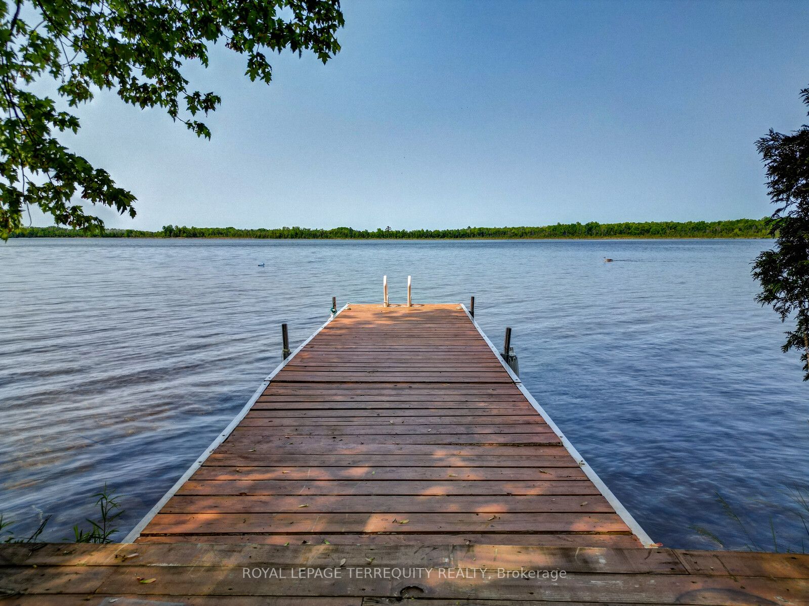 Listing X6040380 - Large Photo # 32