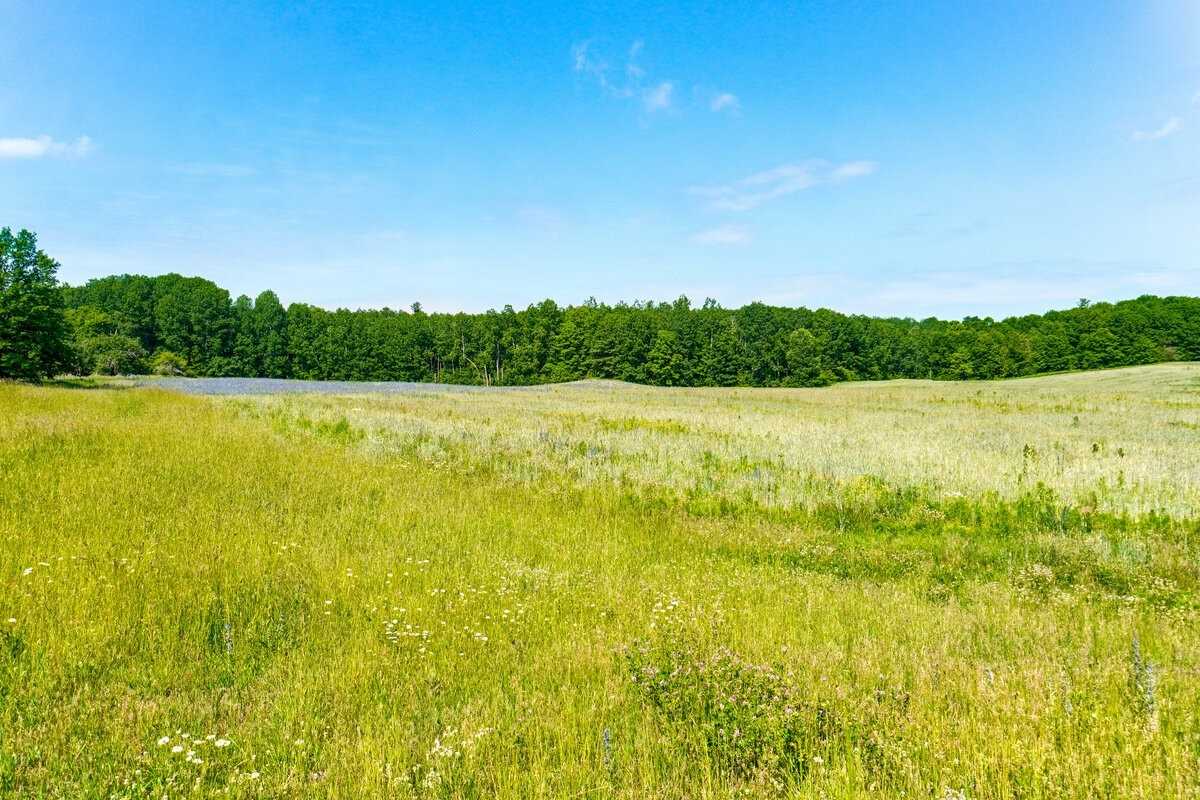 Listing X6041713 - Large Photo # 20