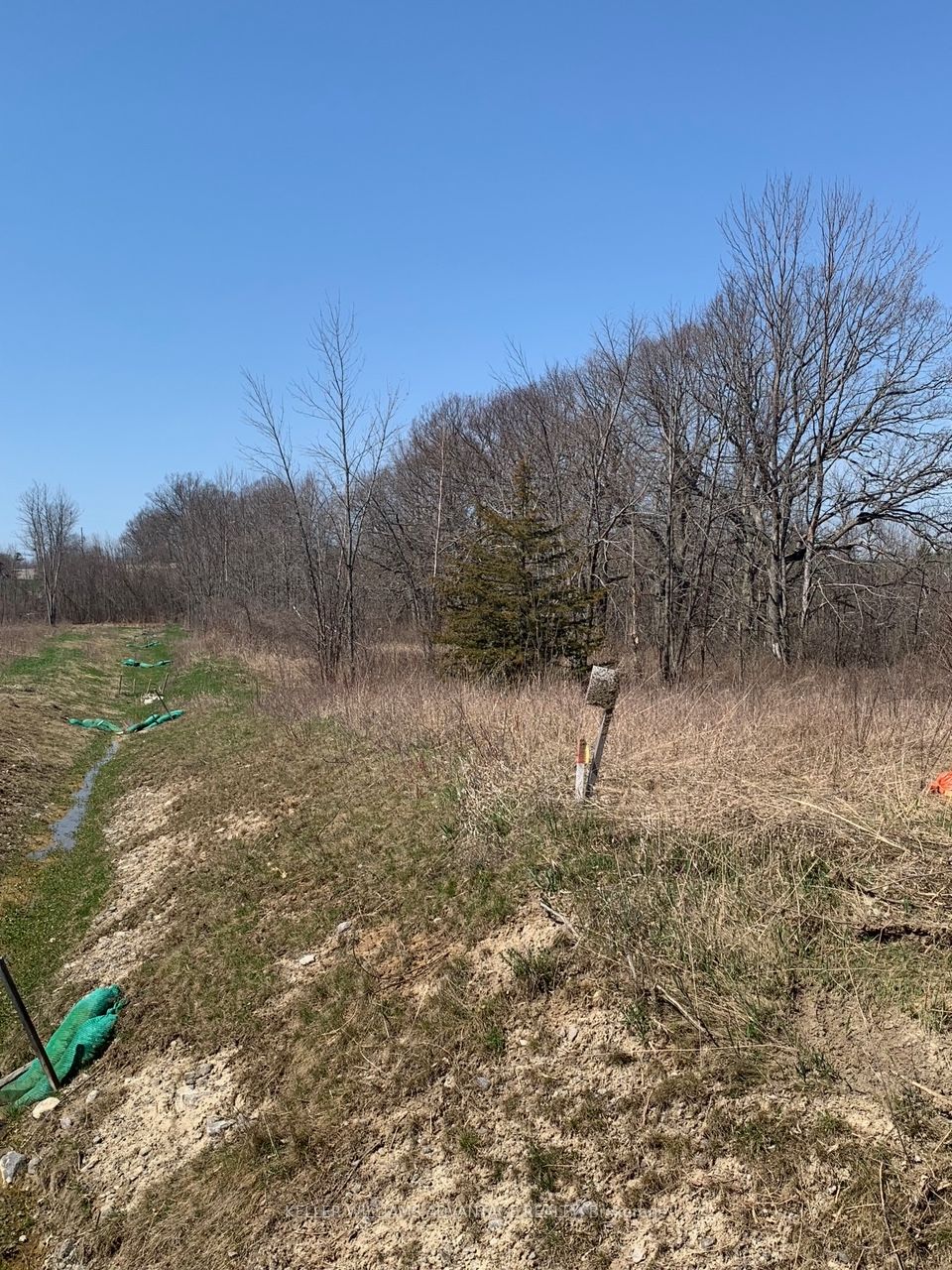 Listing X6044860 - Large Photo # 5