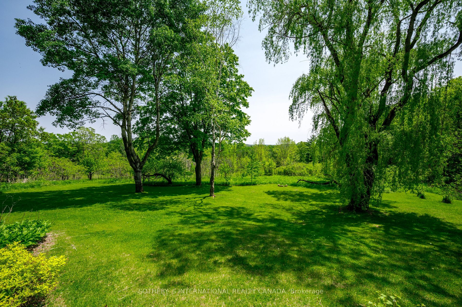 Listing X6045068 - Large Photo # 39
