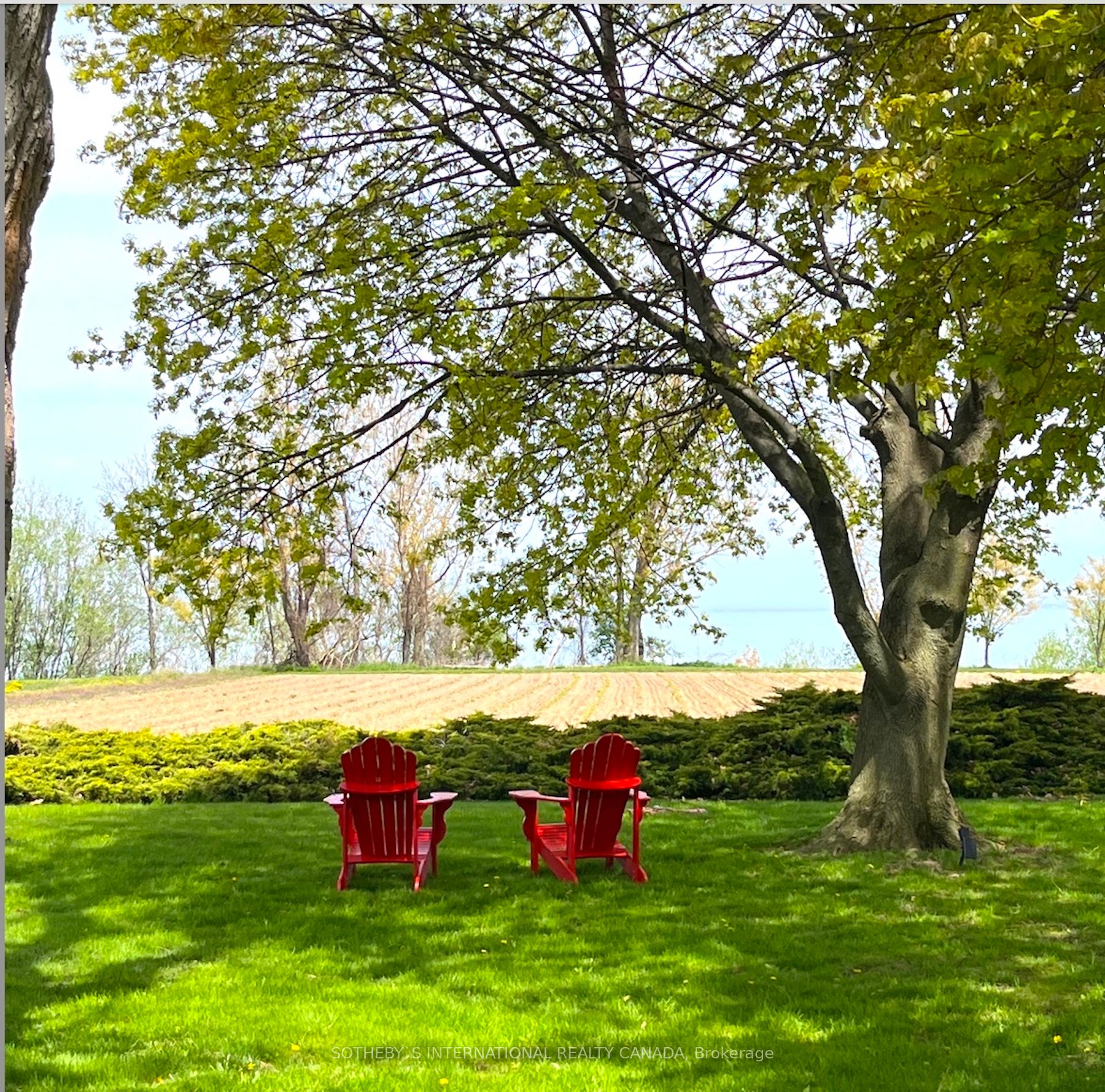 Listing X6045604 - Large Photo # 27