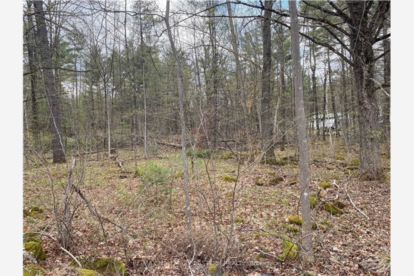 Pt11&12 Maple Grove Rd, Trent Hills