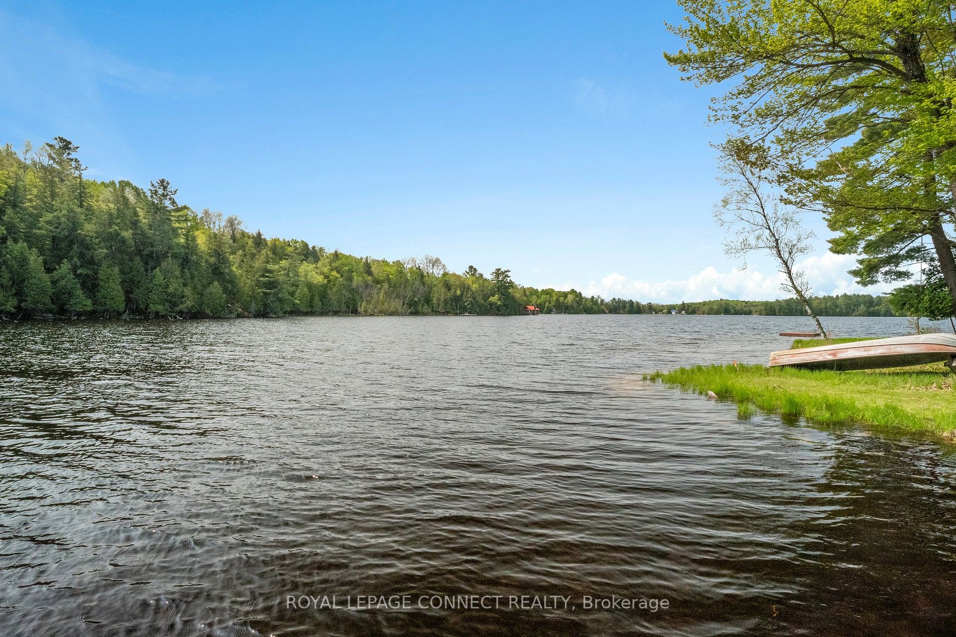 Listing X6048628 - Large Photo # 26