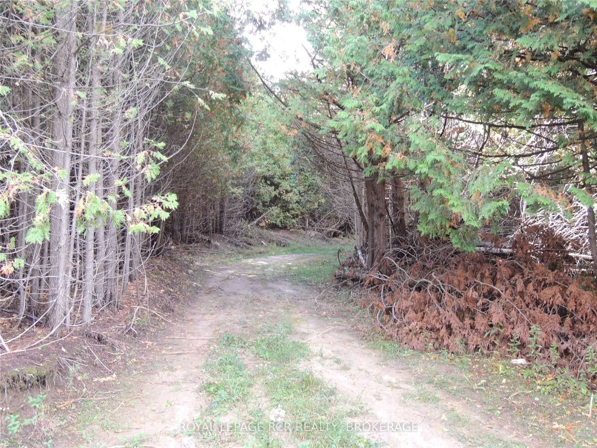 Listing X6051839 - Large Photo # 8