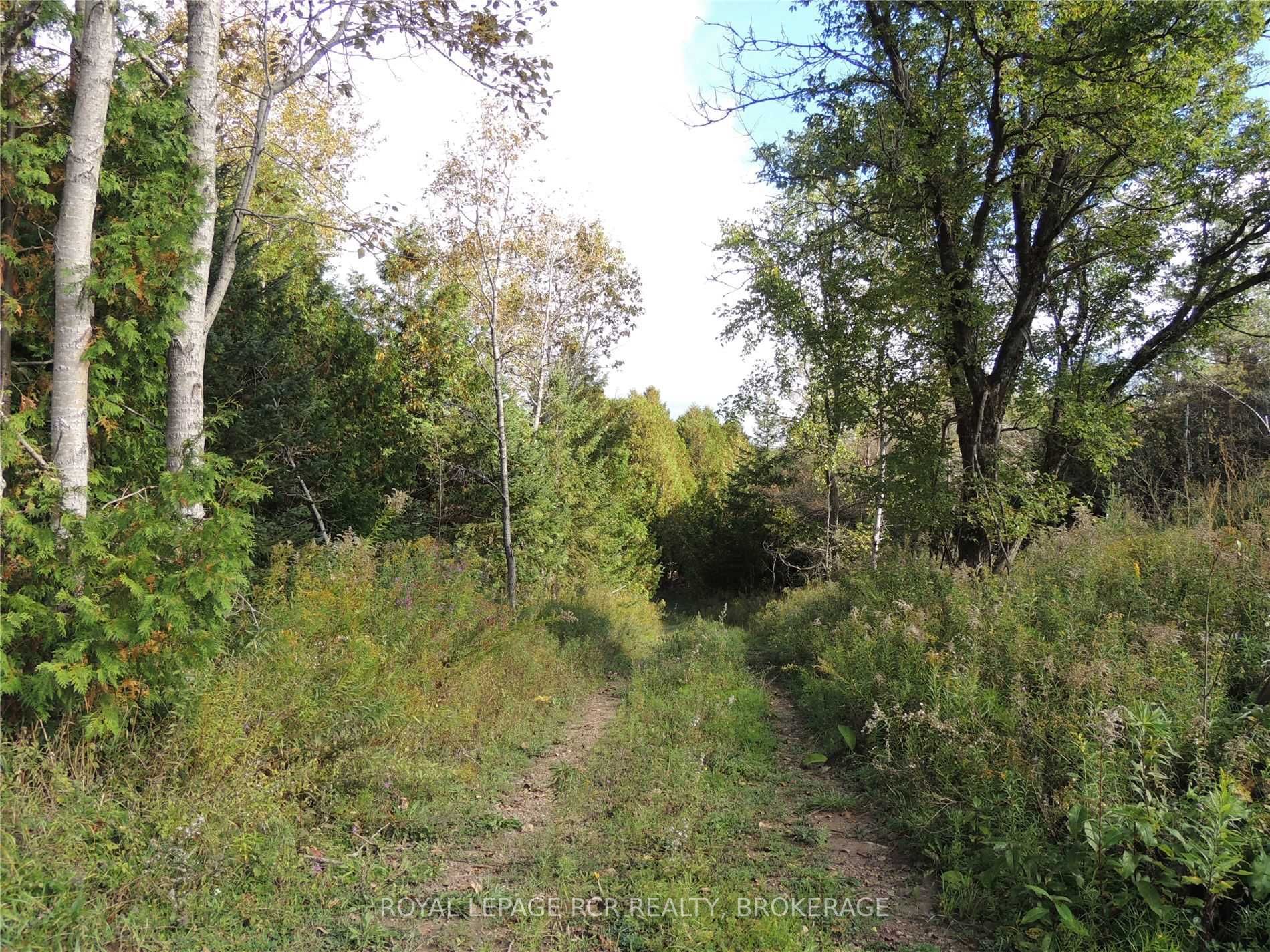 Listing X6051839 - Large Photo # 5