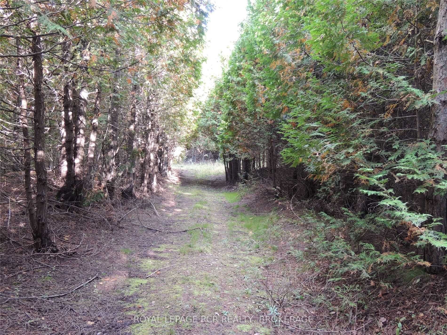 Listing X6051839 - Large Photo # 10