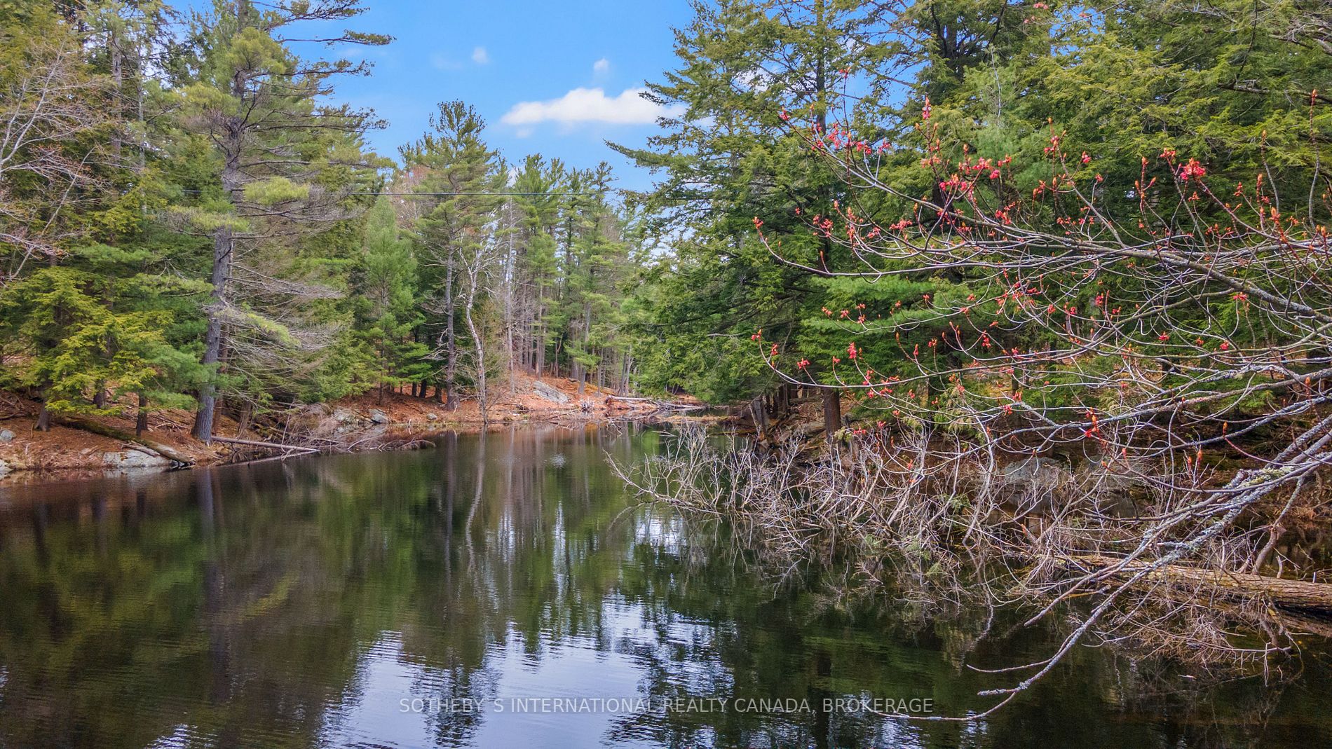 Listing X6052839 - Large Photo # 35