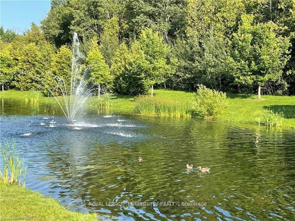 Listing X6053216 - Large Photo # 33