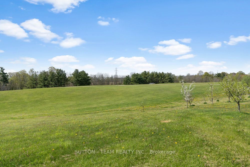 Listing X6054364 - Large Photo # 8