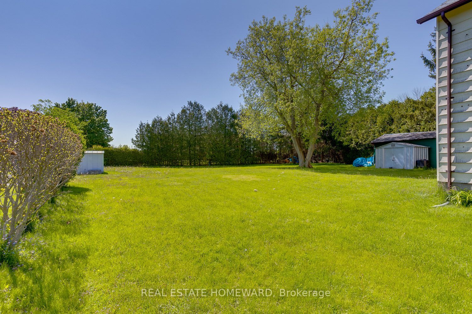Listing X6055092 - Large Photo # 7