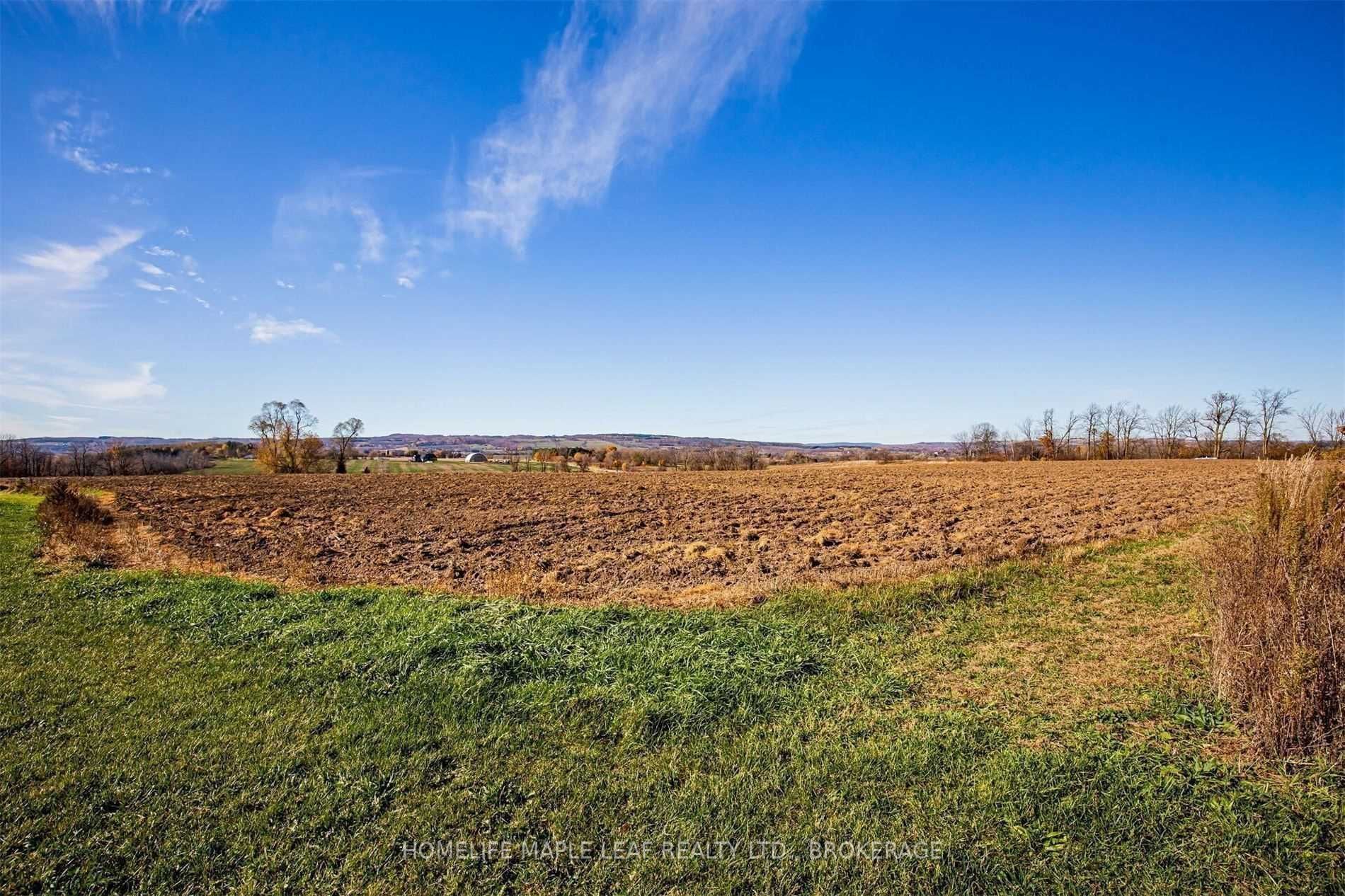 Listing X6056305 - Large Photo # 12