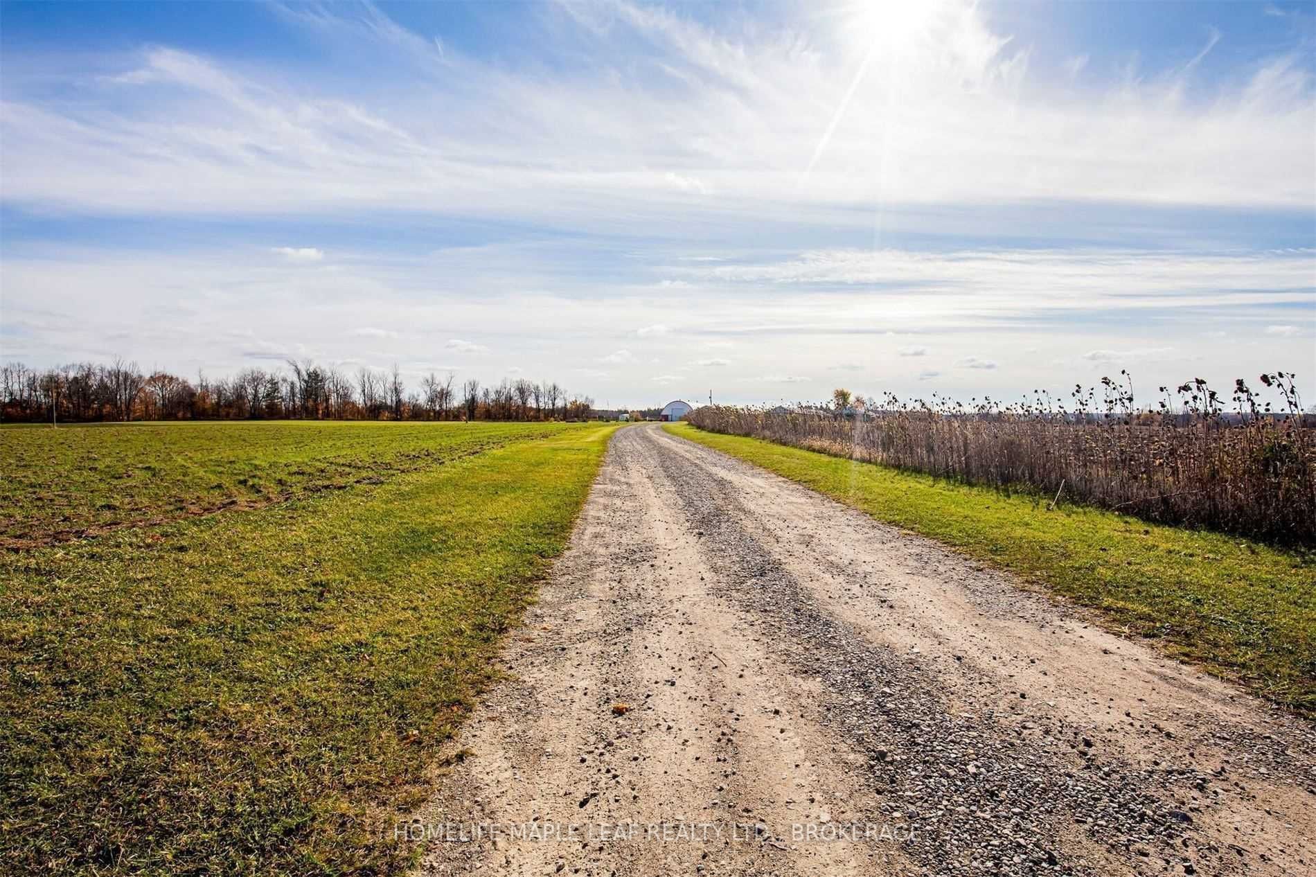 Listing X6056305 - Large Photo # 8